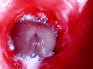 Hot Wet X Hole And Sloppy Big Horseshit